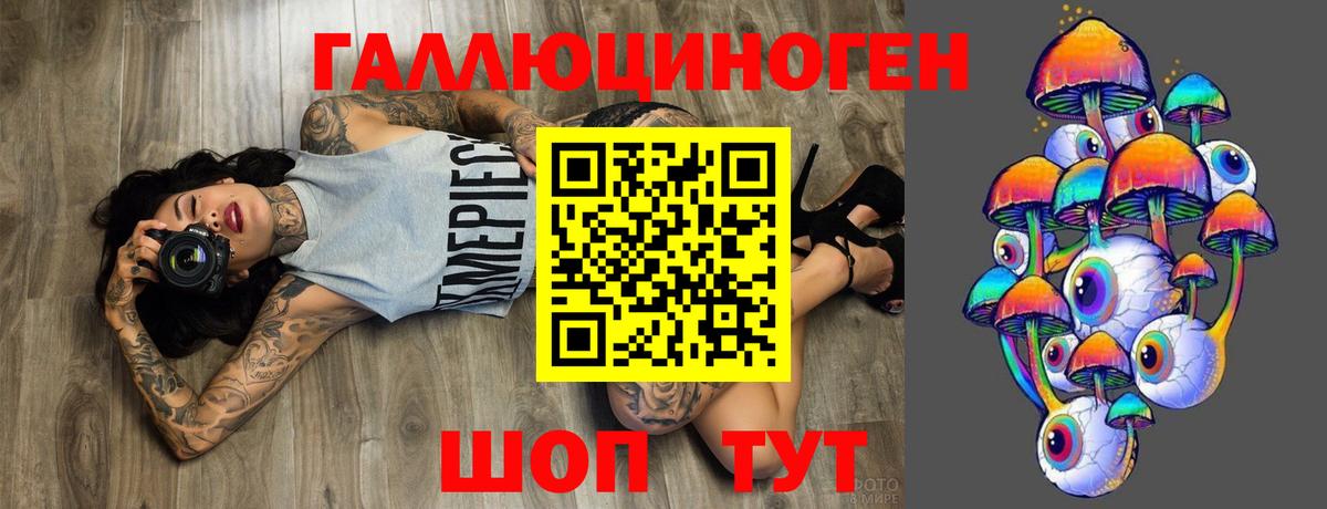 Верхняя Салда  Псилоцибиновые грибы Psilocybine cubensis  Вход с VPN 